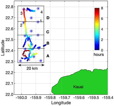 Fin Whale Song Patterns Shift Over Time in the Central North Pacific